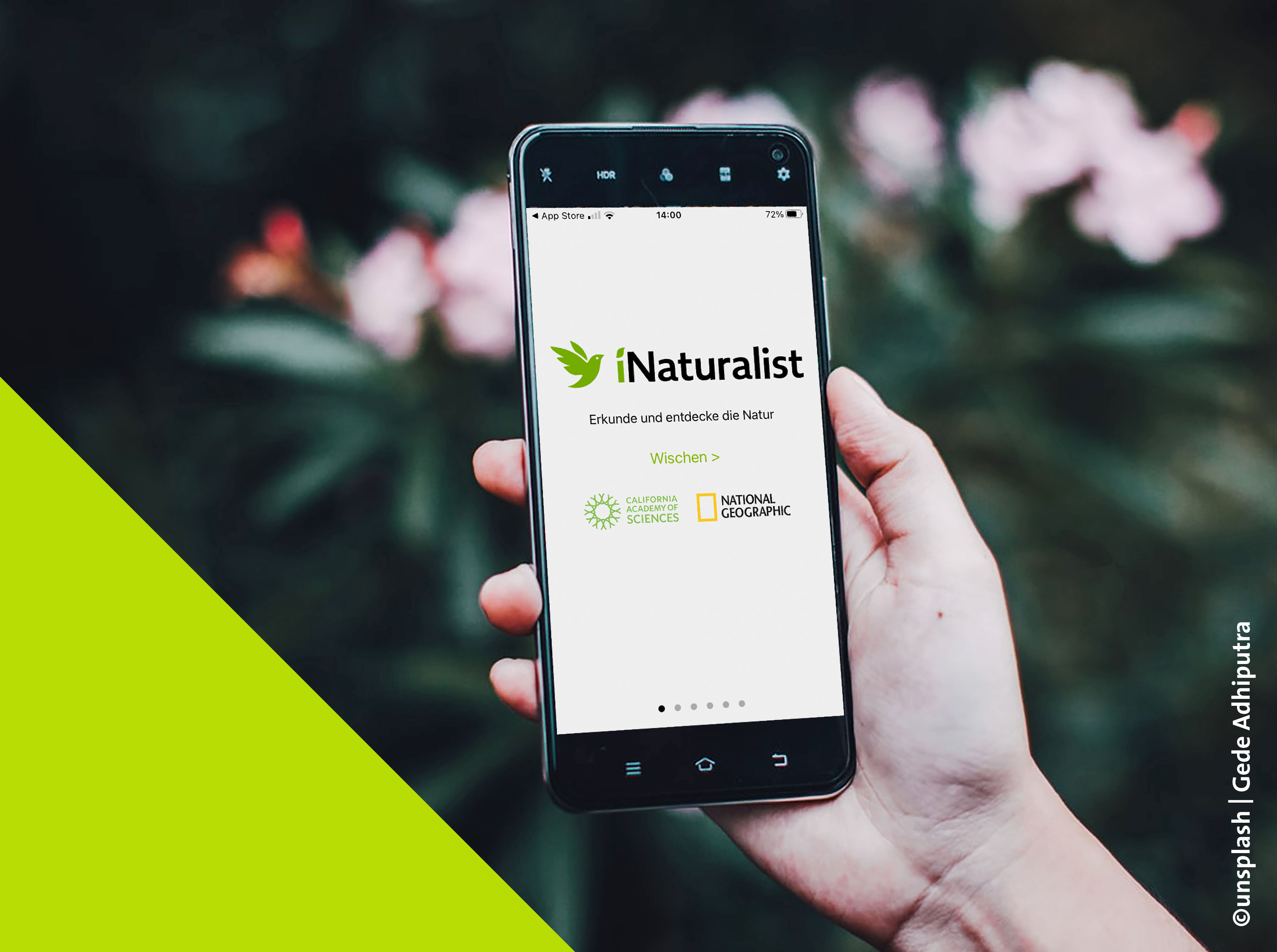 BioBitz-iNaturalist