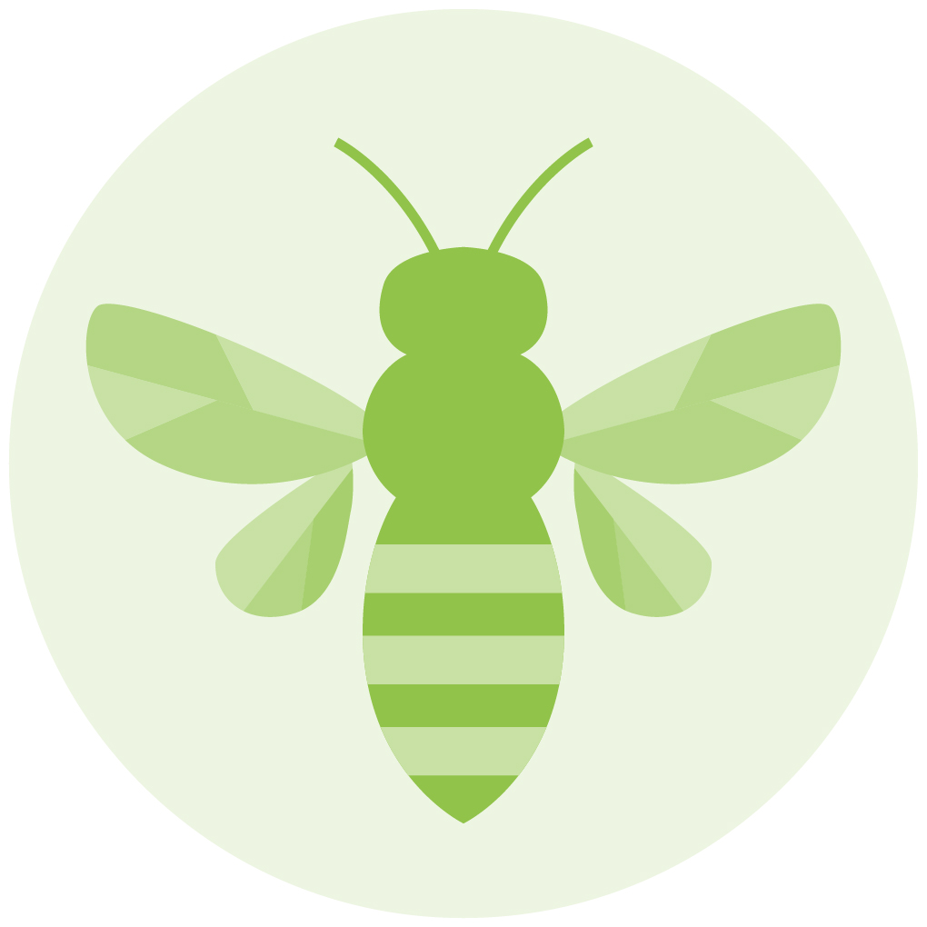 Bild mit Schmetterling als "Biodiversität" Workshop Icon